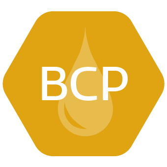 /wp-content/uploads/icon-bcp-1.png